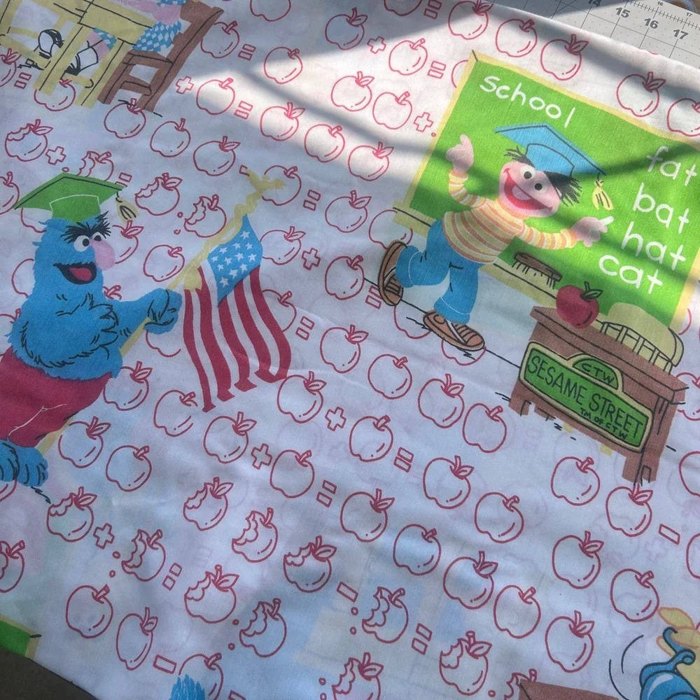 Sesame Street Bedding Set Kids Twin School Theme Vintage 70s/80s? Cookie Monster